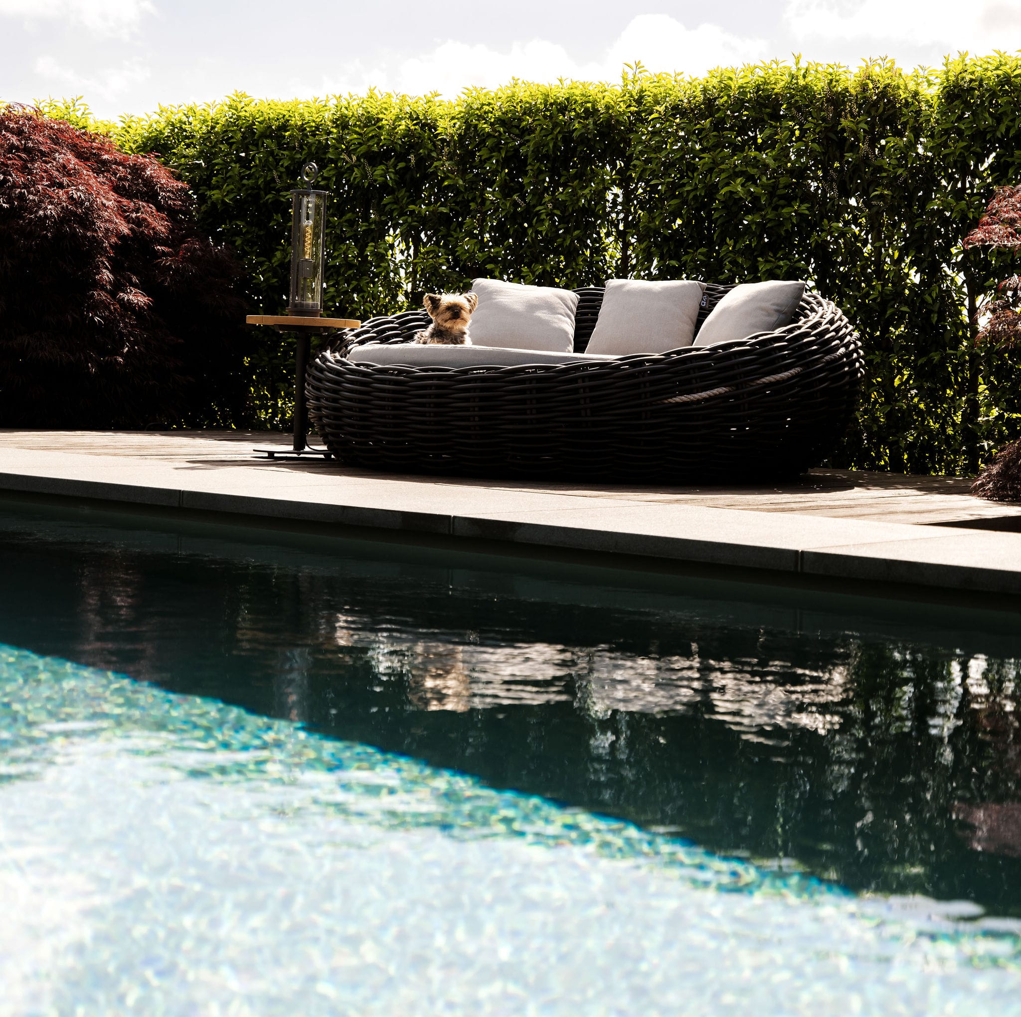 Niveko Altena Zwembaden monoblok zwembad custom build zwembad in de tuin