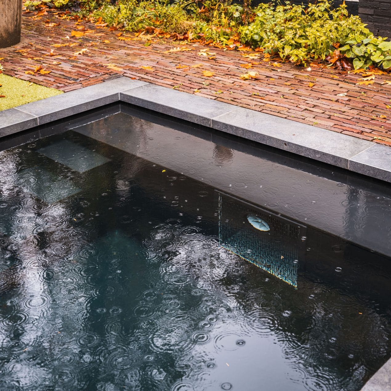 Bouwkundig zwembad met zwarte folie in bosrijke tuin bij landelijke villa - Altena Zwembaden